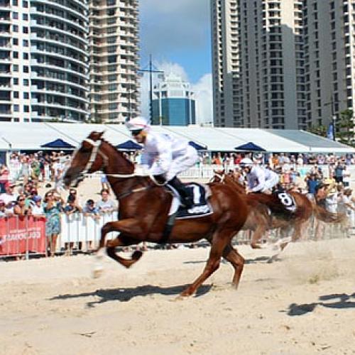 Horses hit the sand for iconic Magic Millions beach race and barrier draw