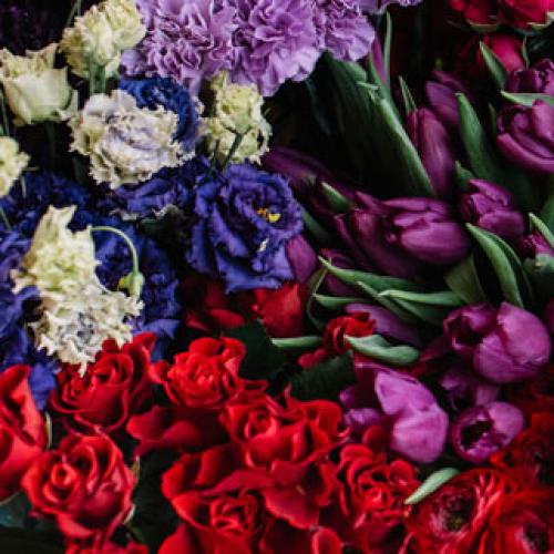 Floral tribute area for victims of Gold Coast helicopter tragedy
