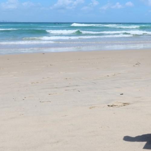Usher Cup surfing competition kicks off at Snapper Rocks