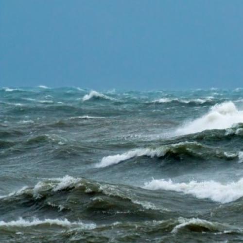 Man, dog rescued after boat capsizes on Gold Coast