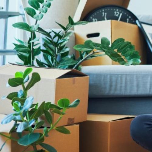 NSW govt to make rental auctions ‘illegal’