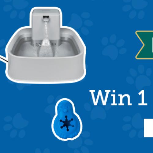 Win 1 of 3 PetSafe Australia Prize Packs!