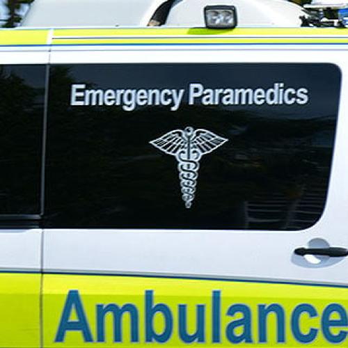 Elderly woman injured in Gold Coast dog attack