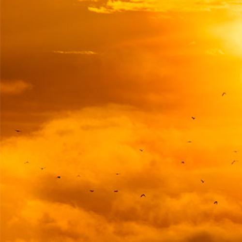 Health experts issue warning as heatwave grips the south east