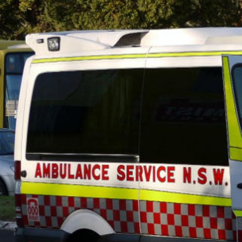 Two children killed in crash into tree in Sydney's south