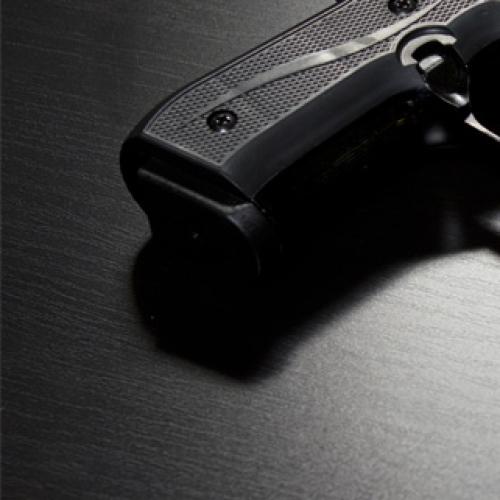 Police ministers to work on national gun register