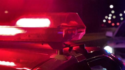 Manhunt after Logan servo worker held at gunpoint in armed robbery