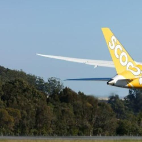 Cheap fares up for grabs as Gold Coast international flights resume