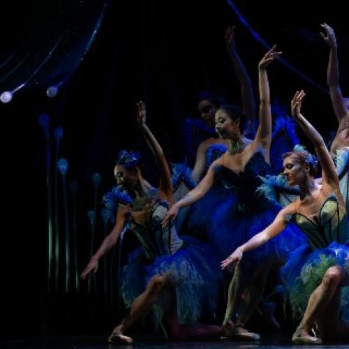 Queensland Ballet dreams up enchanting performance at HOTA
