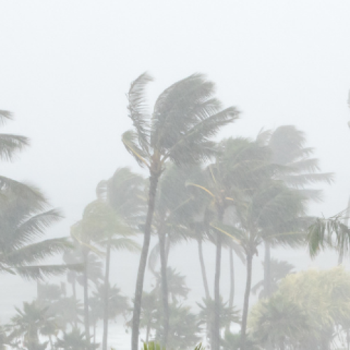 Tropical Cyclone Gabrielle formed off the Queensland coast