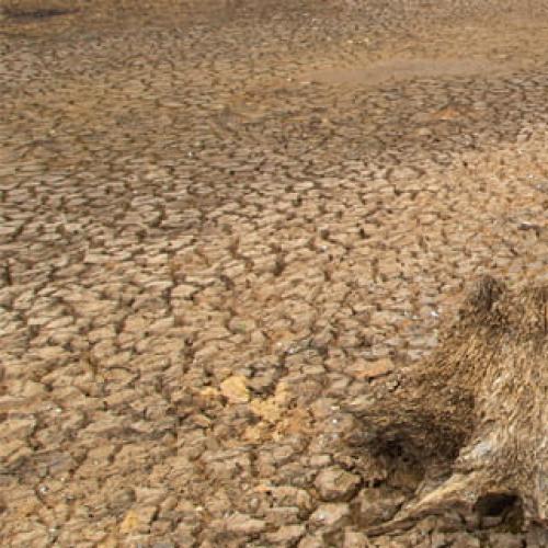 Drought warning for Australia after record floods