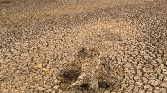 Drought Warning For Australia After Record Floods