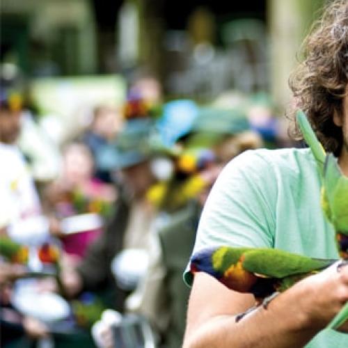 Queensland shines bright at Australian Tourism Awards