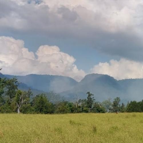 Smoke warning for Hinterland ahead of hazard reduction burn