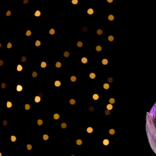 Barry Humphries, ‘greatest ever Australian’, bows out