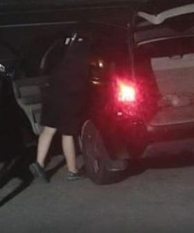 WATCH: Police hunt trio over $463K catalytic converter thefts
