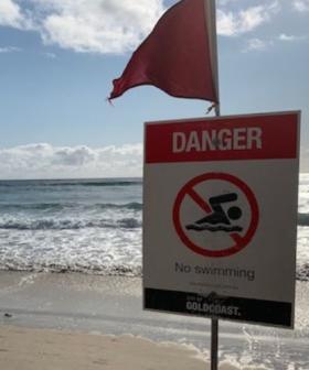 Lifeguards to make call on Gold Coast beaches after days of wild surf