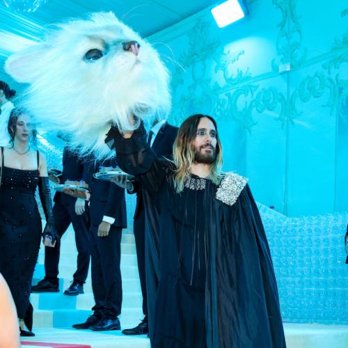Celebs Stun On Red Carpet Of Met Gala 2023