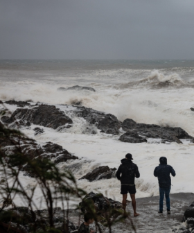 Severe weather warning for Gold Coast amid gale winds, huge surf