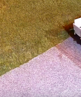 WATCH: Police hunt for motorbike thieves on the Gold Coast
