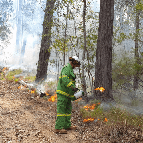 Burleigh residents warned of possible smoke due to planned burn