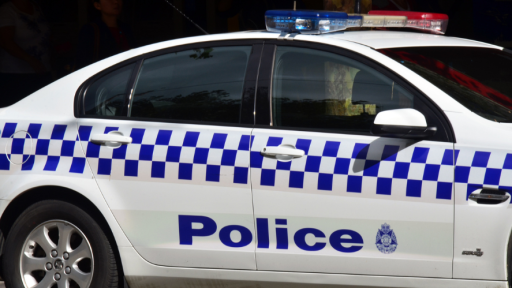 Children among five dead after car ploughs into beer garden