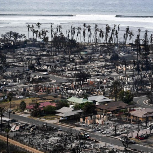 Maui surveys the burned wreckage after deadly fires