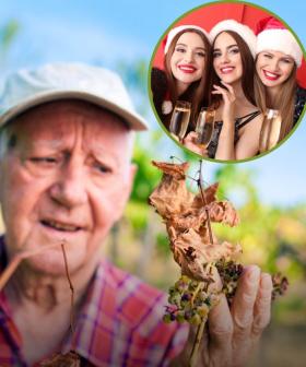 Climate Crisis Threatens to Pop the Prosecco Bubble: Here’s Why!