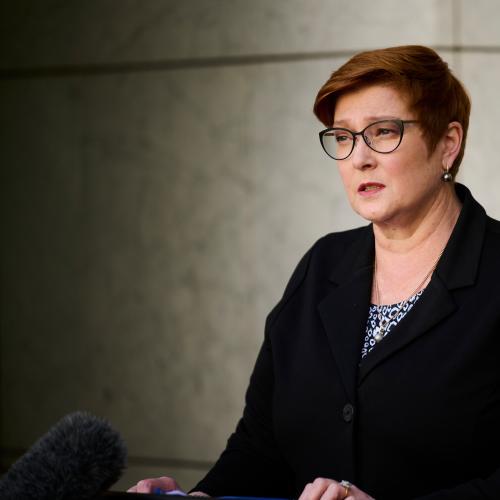 History-making Liberal senator Marise Payne to retire