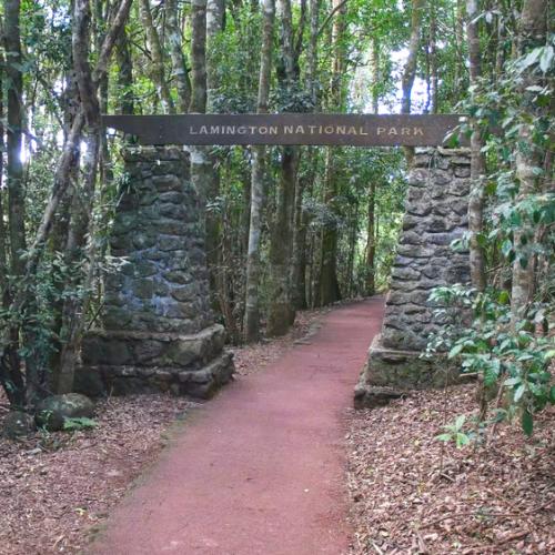 Hiker tumbles down cliff in Gold Coast Hinterland