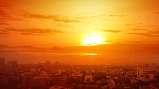 GC WEATHER | Total fire ban issued for SE Qld as mercury soars