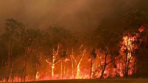 Week-long fire ban imposed across SE Qld amid hot, dry conditions