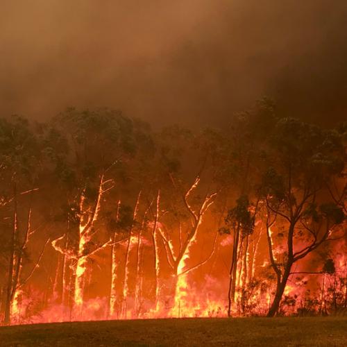 Gold Coast hinterland identified as 'high risk' this bushfire season