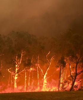 Body found as bushfires continue to rage in Qld