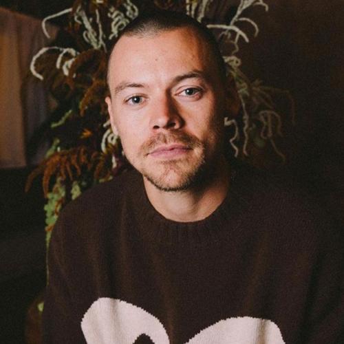 Harry Styles Just Hard-Launched His Buzzcut And We Have Mixed Emotions, tbh