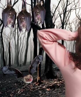 How Climate Change Could Usher in a Vampire Bat Invasion!