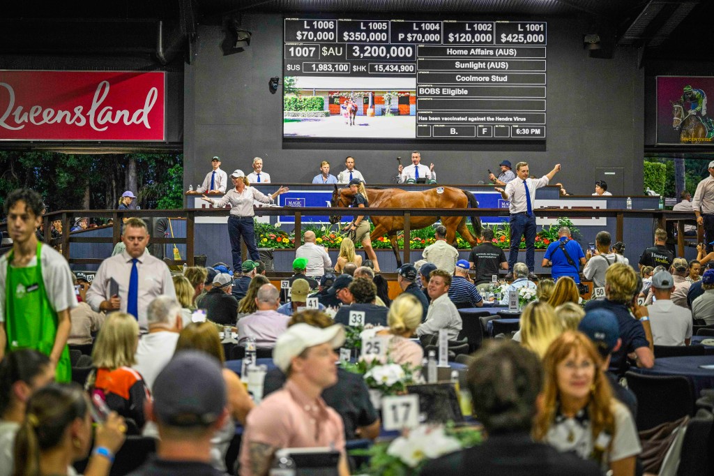 https://www.magicmillions.com.au/calendar/2026-gold-coast-yearling-sale/