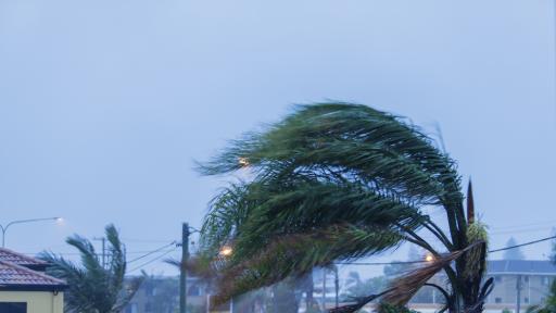 Wild winds to lash Gold Coast as Qld cops edge of “bomb cyclone”