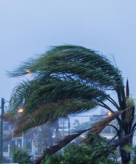 Damaging winds lash south east as Winter cold blast hits