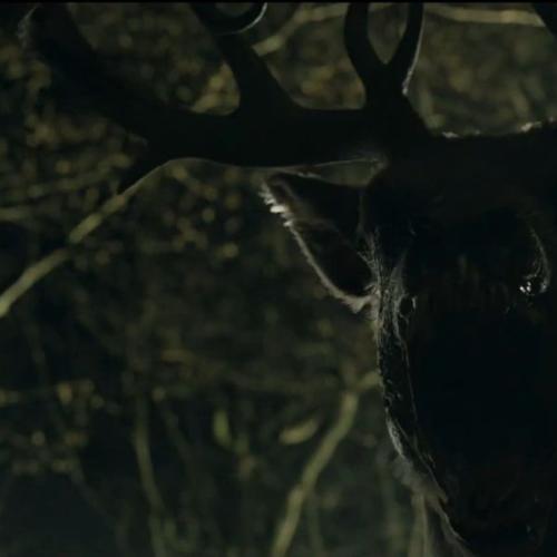 Oh Dear! Horror Film based on “Bambi” coming in July