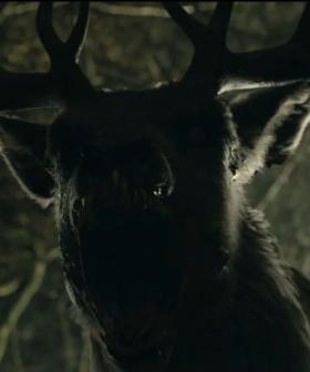 Oh Dear! Horror Film based on “Bambi” coming in July
