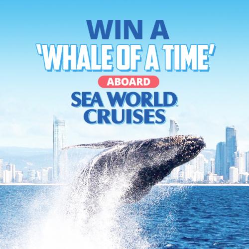 Win A ‘Whale Of A Time’ Aboard Sea World Cruises!