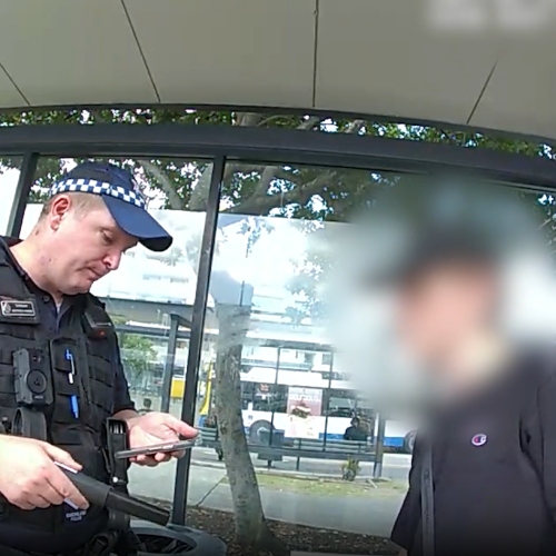 Police wanding powers to be made permanent in Queensland