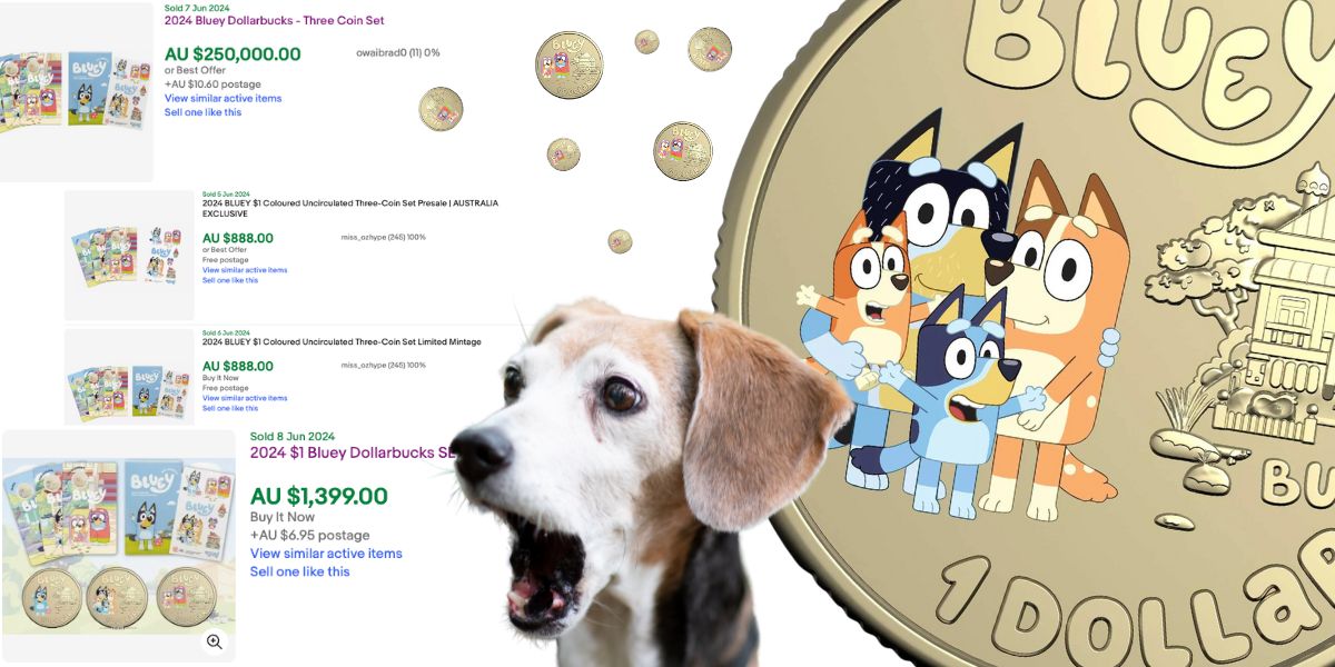 Collectable bluey dollarbucks now selling for 1000 s of real dollars
