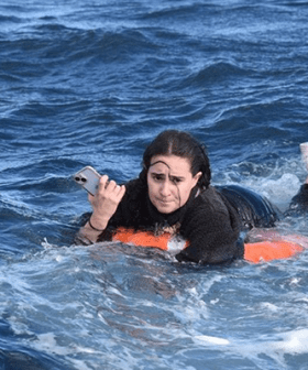 Whale boat owner explains why tourist went overboard!
