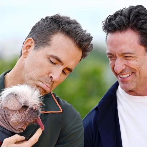 Peggy The Ugly Pug Stars in Deadpool & Wolverine Movie