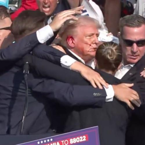 Donald Trump shot in failed assassination attempt at campaign rally
