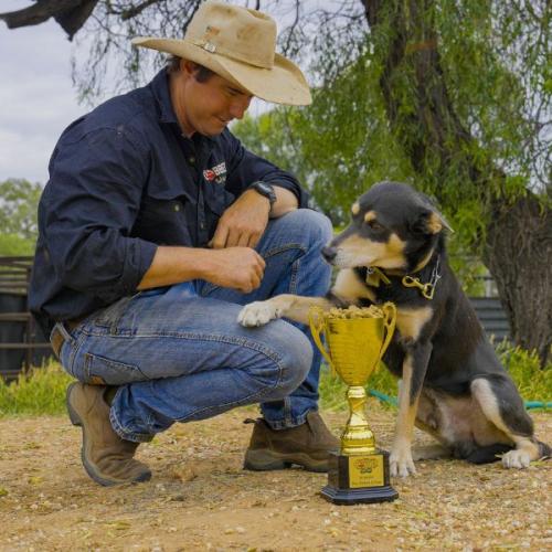 Australia’s Hardest Working Dog Has Been Crowned