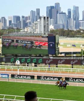 Melbourne Cup 2024: Tradition and Ethics