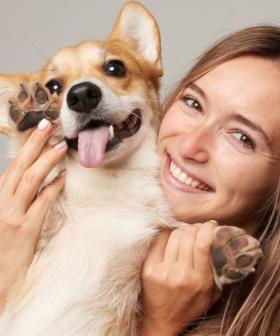 Study Reveals Most Women Would Choose Their Dog Over a Man